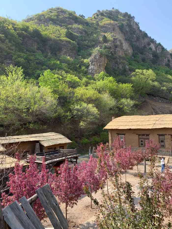 清风岭省级自然保护区-"朝阳清风岭 是电视剧中国地的