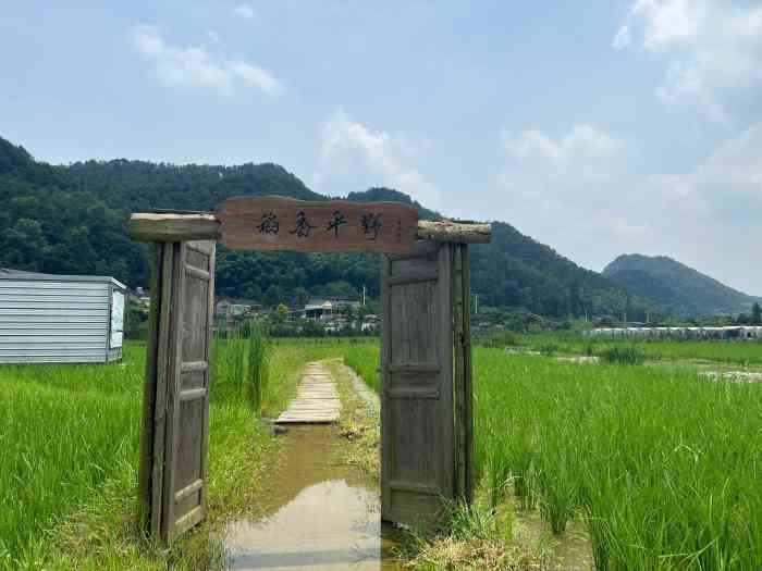 虎头山·稻野农场"公司团建活动,思考了很久最后还是选择了去.