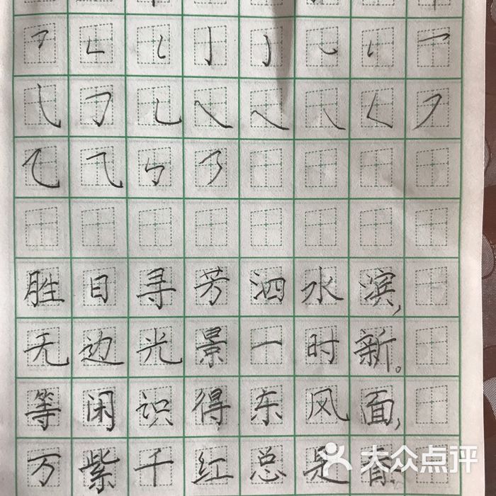 赵汝飞练字硬笔书法