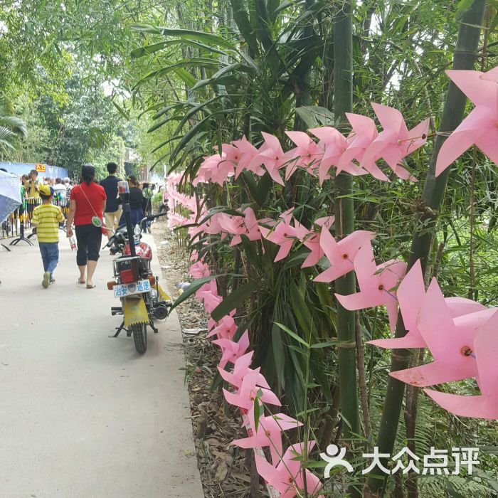 海傍水乡生态园-图片-广州周边游-大众点评网