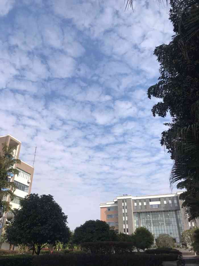 桂林理工大学-图书馆(雁山校区)-"桂林理工大学图书馆