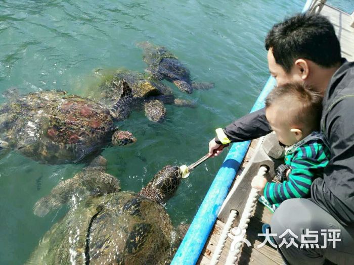 分界洲岛海钓会所-图片-陵水酒店