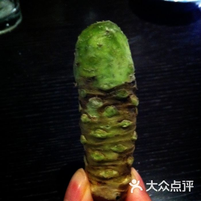 新鲜山葵 wasabi