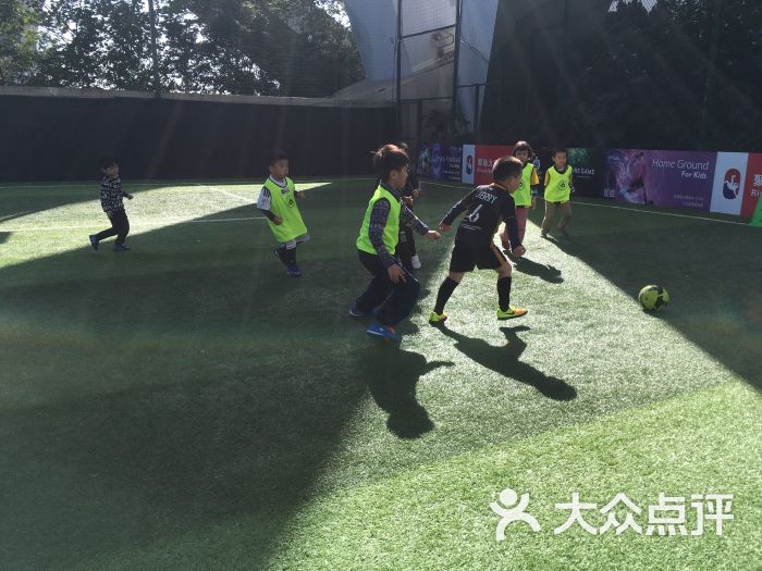goldenfox小金狐少儿足球俱乐部-图片-上海
