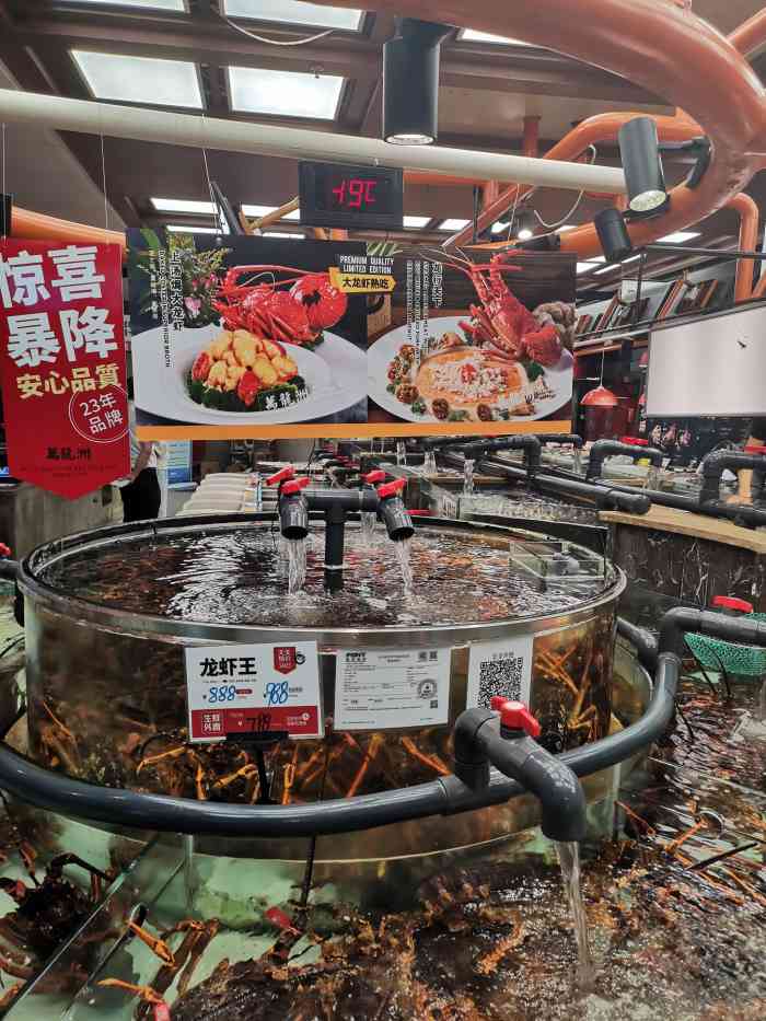 万龙洲水产公社(亚运村店)-"自助餐很合适,很多的广式