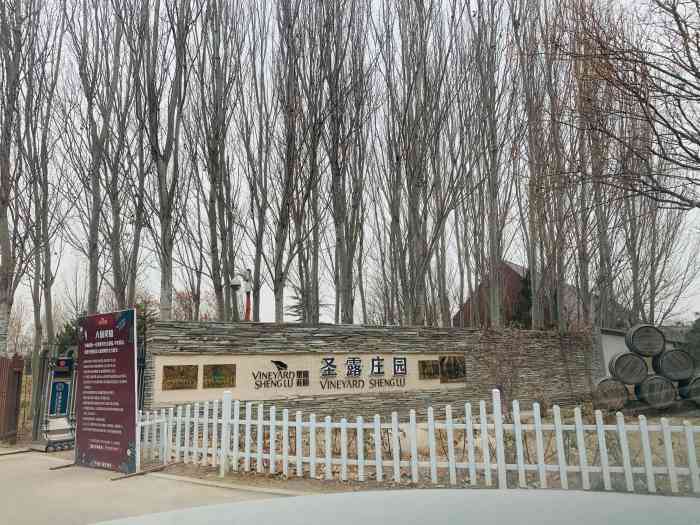 圣露庄园西餐厅"周末带小朋友们过来的,因为附近有个小马场.