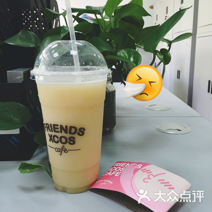 乳酸菌绿茶