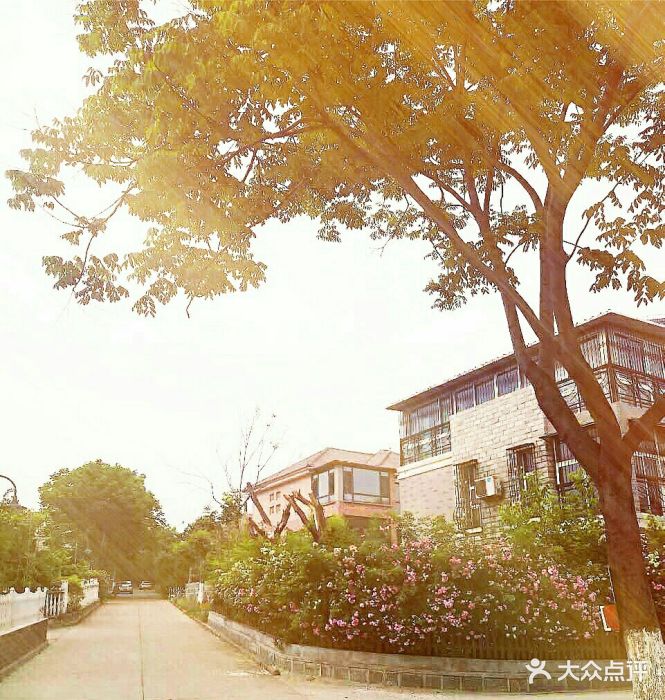 江苏师范大学(泉山校区)图片 第3张
