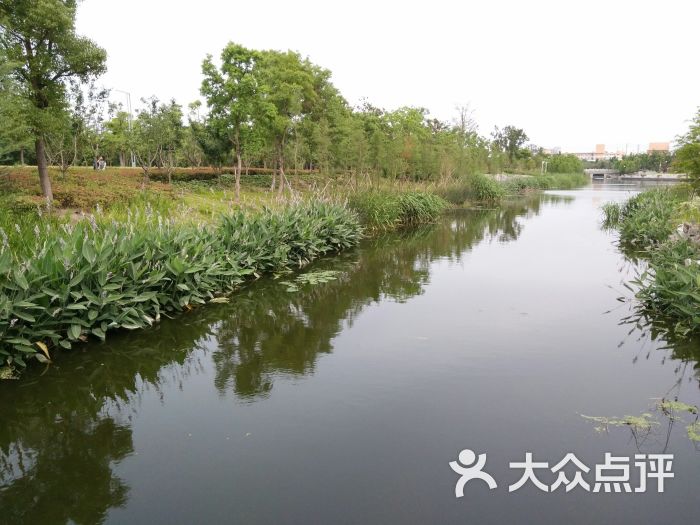 罗塘公园-图片-姜堰区周边游-大众点评网