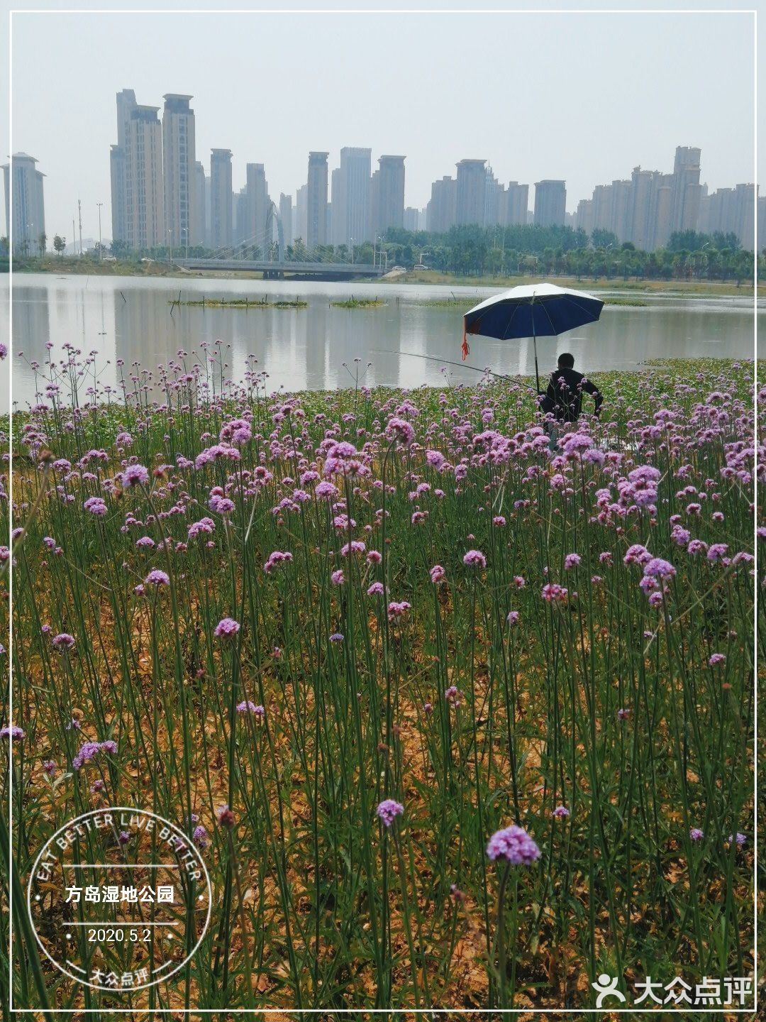 家庭出游之汉阳方岛湿地公园.