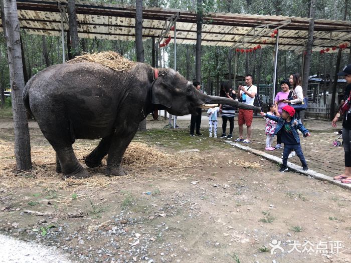 虎鳄农场动物主题公园图片