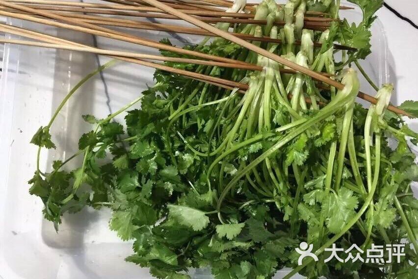 湾仔串串香香菜图片 第1张