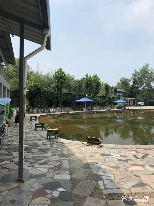院子垂钓园图片 - 第27张