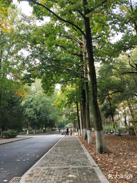 南京林业大学图片 - 第33张