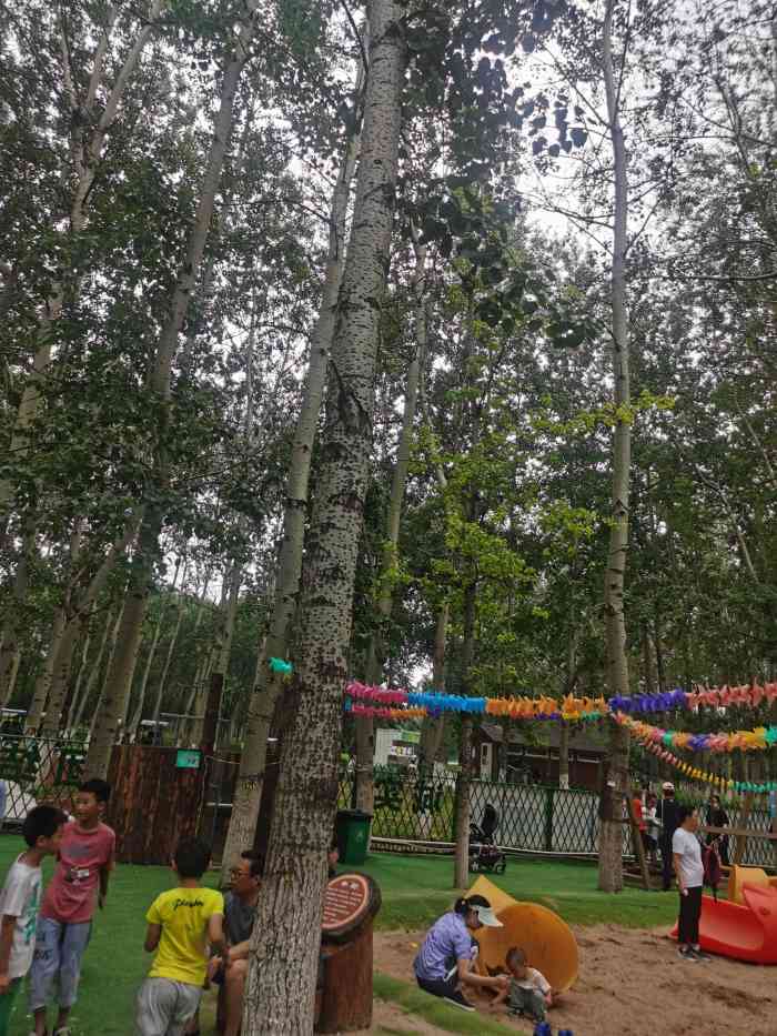 奥森乐仕堡-"一星也不想给[鄙视]门票死贵 玩其他项目.