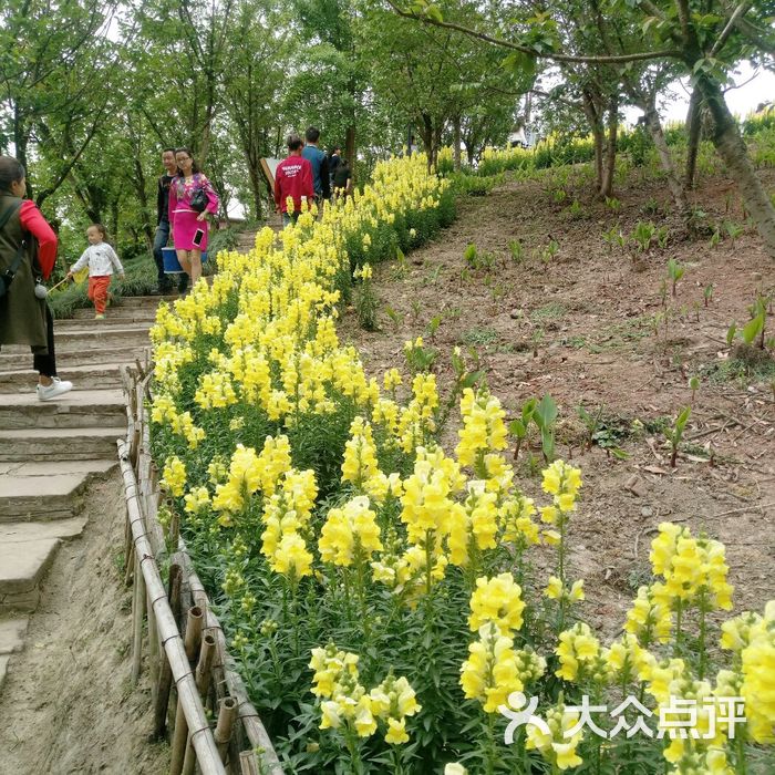 龙泉仰天窝市民健身步道