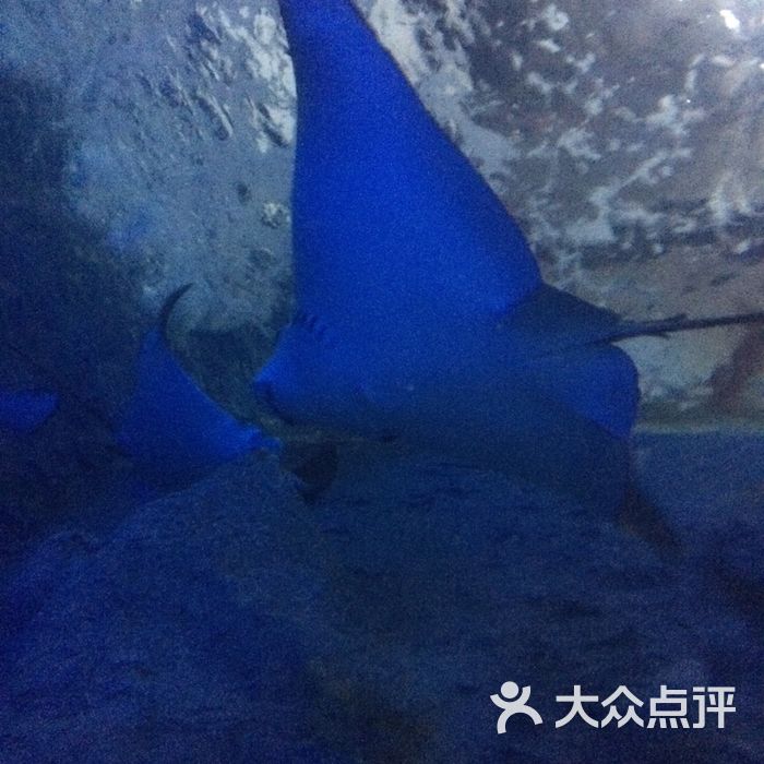 长沙海底世界