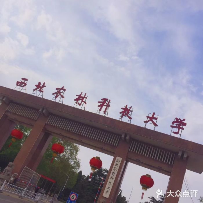 西北农林科技大学(北校区)图片