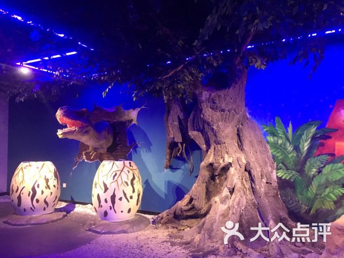 环球奇趣体验馆-图片-上海周边游