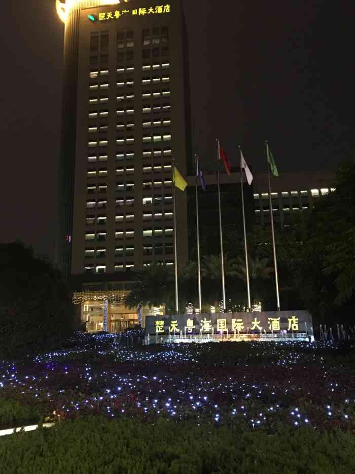 武汉楚天粤海国际大酒店-"天惹噜,路过吓到.感觉自己