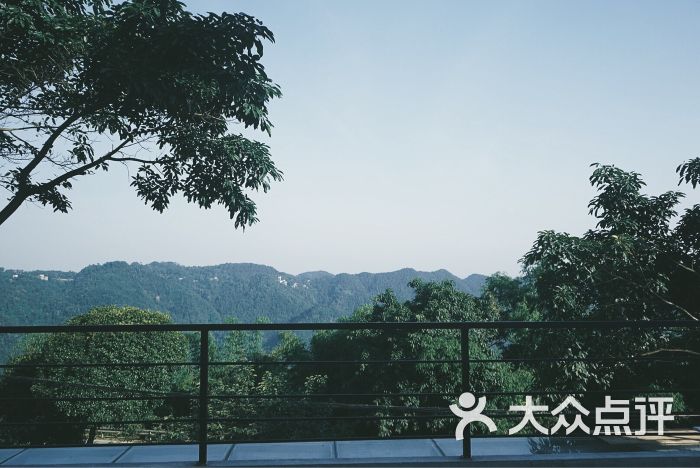 南之山书店-图片-重庆购物-大众点评网