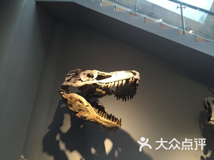 重庆自然博物馆(新馆)图片 - 第3张