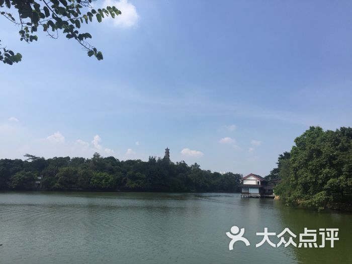 惠州西湖宝塔山-图片-惠州周边游-大众点评网