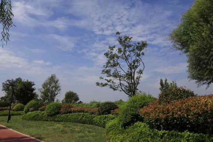 花圃公园-"花圃公园,就是以前的段店苗圃,后来经过改.