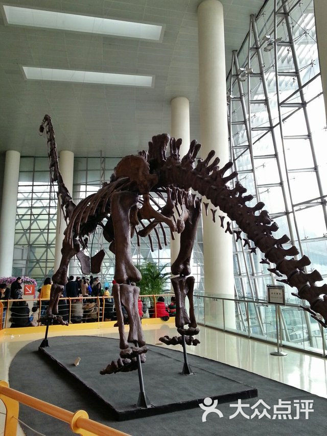 上海科技馆恐龙图片 - 第1张