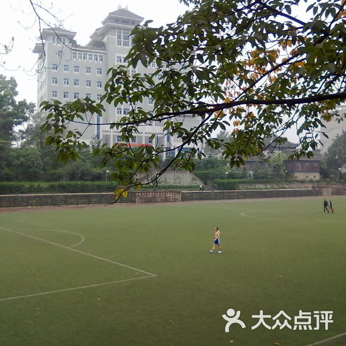 重庆大学体育场图片-北京大学-大众点评网