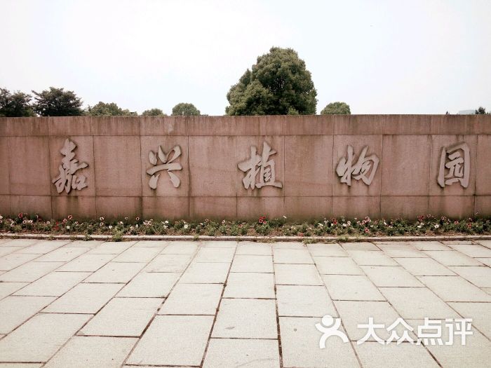 嘉兴植物园-amyying66的相册-嘉兴景点