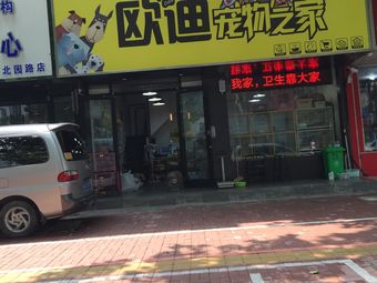 临沂凤凰广场宠物店-临沂凤凰广场宠物店宠物-大众点评网