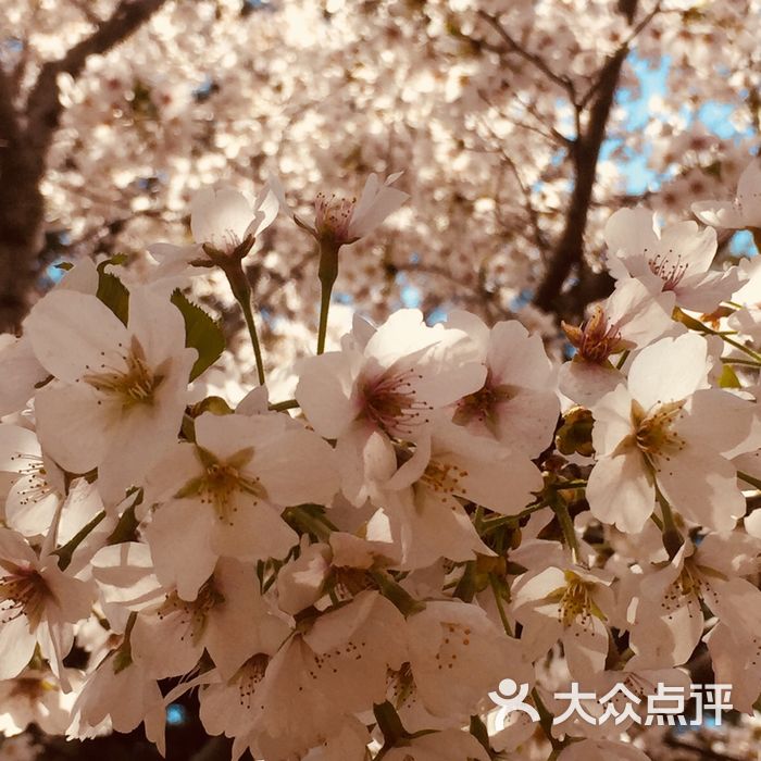 暖清寒           乍暖清寒           乍暖清寒           梆梆酱紫