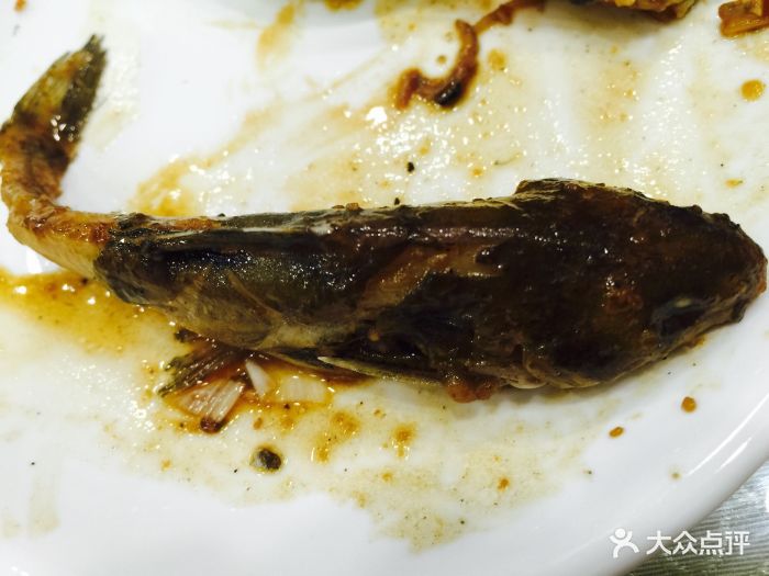 肇源江鱼馆图片