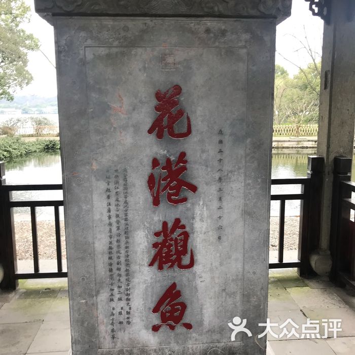 西湖游船三潭印月花港观鱼码头