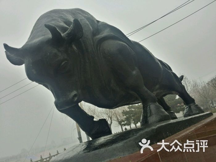大铁牛-图片-周口生活服务-大众点评网