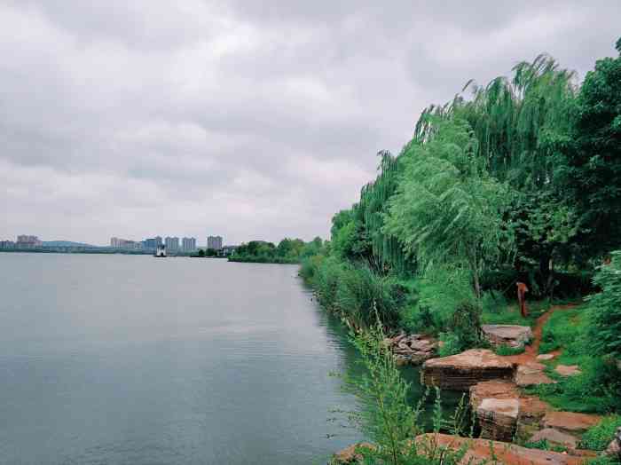 南湖国家城市湿地公园-"@种草君 这次到淮北出差,有幸