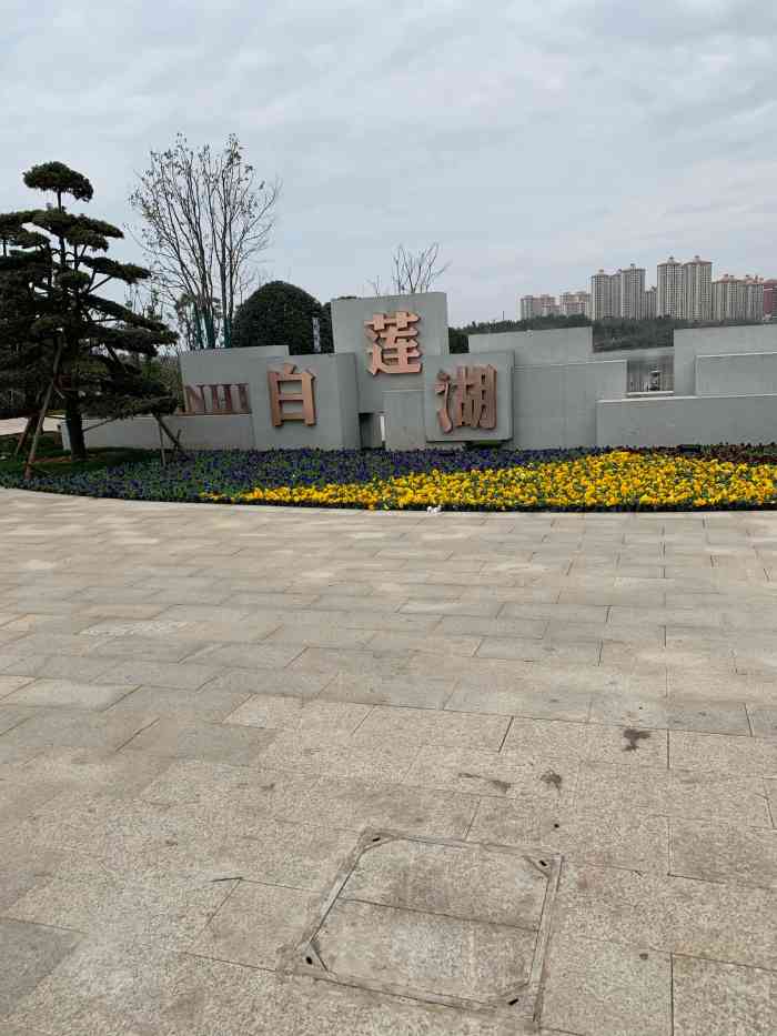 白莲湖湿地公园"一颗树在水中央!湖很大环境很美-大众点评移动版