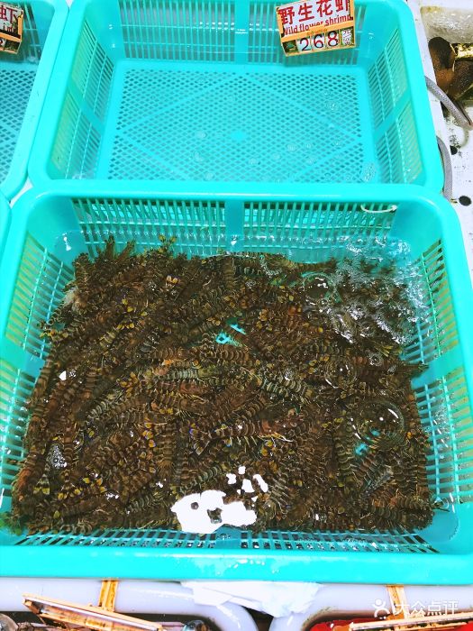 晚上在长隆玩,在里面吃了饭了,出来又想吃.-大