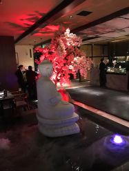 上井八泽精致料理(曲江店)-紫兰卿的相册-西小队美食名称图片