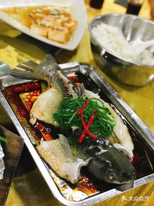 根哥美食-蒸山坑鲩鱼图片-江门美食-大众点评网