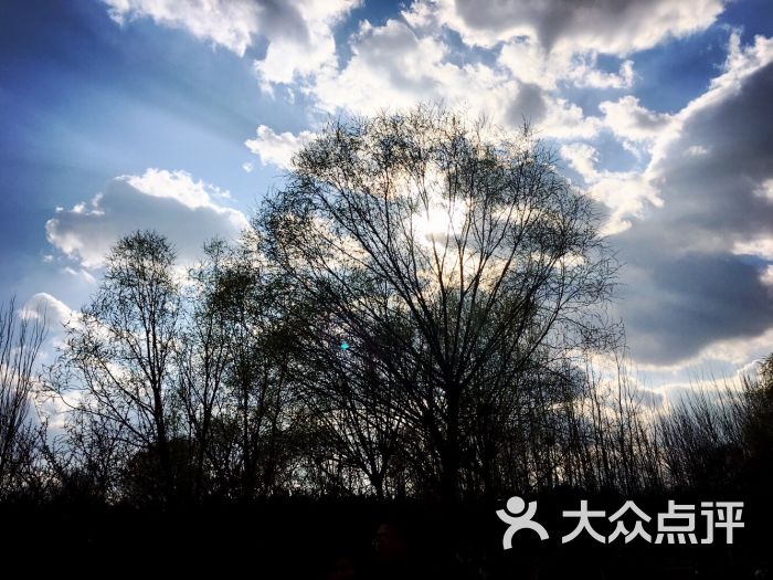 奥林匹克森林公园北园南门停车场-图片-北京爱