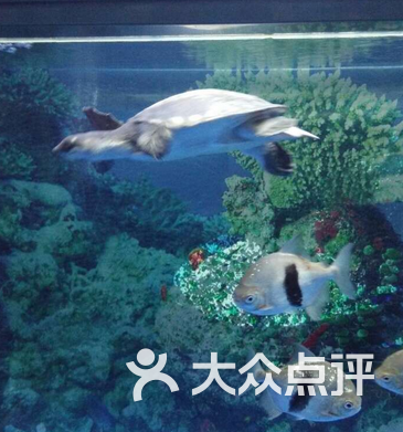 历下区 华龙路沿线 动植物园 海洋馆 大明湖海底世界 默认点评