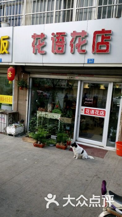 花语花店图片 - 第4张