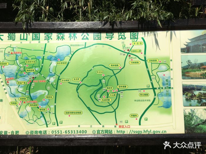 大蜀山森林公园图片 - 第2张