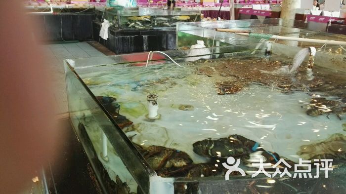 北京金紫银海鲜酒楼_海鲜拼盘_金紫银海鲜酒楼(3)
