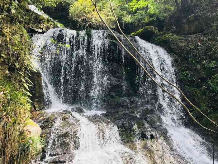 仙寓山景区-"门票50,65岁以上免费,不过要买5块钱.