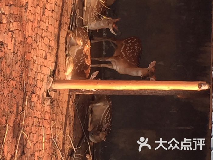 延边鹿园山庄防盗窗别墅欧式图片