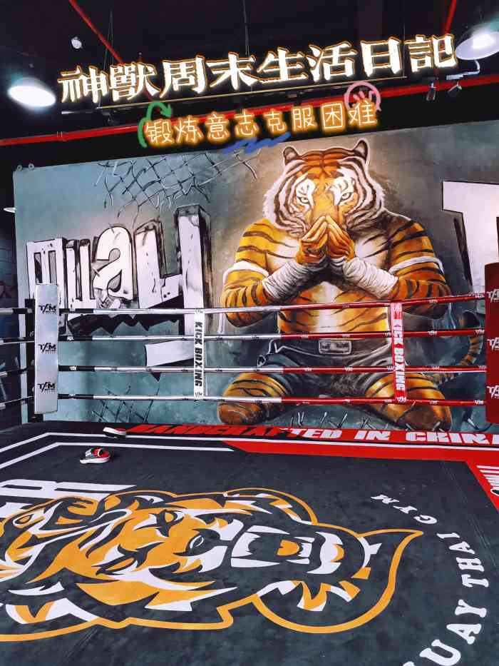 老虎泰拳格斗馆 muay thai fight(荔湾馆)-"不错,环境很好,就在动感小