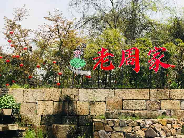 老周家莲文化度假村餐厅-"阳山老周家的吊鸡露,红烧肉,炒青菜等,真.